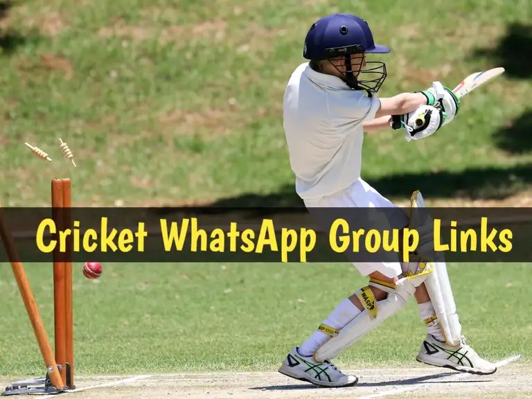 Cricket Whatsapp Group Links 2024