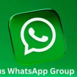 Status WhatsApp Group