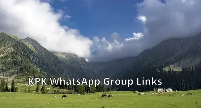 999+ KPK WhatsApp Group Links List 2024