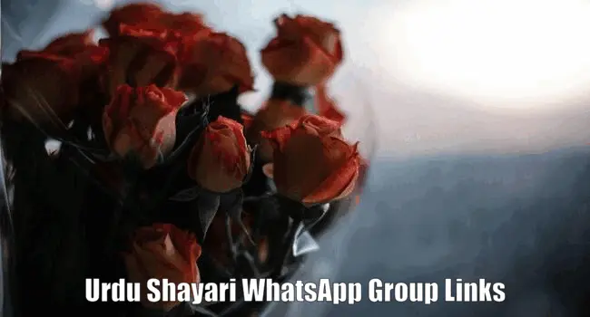 1599+ Urdu Shayari WhatsApp Group Links List 2024
