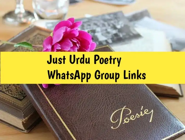 1530+ Just Urdu Poetry WhatsApp Group Links 2024