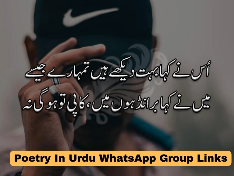 1480+ Poetry In Urdu WhatsApp Group Links 2024